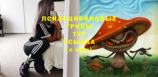 PSILOCYBIN Заволжск