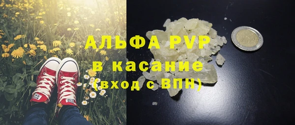 PSILOCYBIN Заволжск