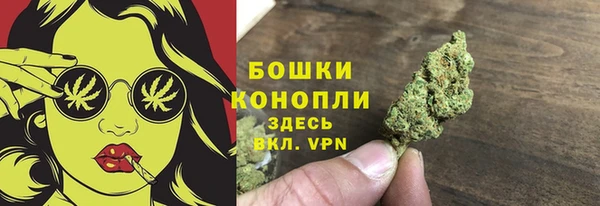PSILOCYBIN Заволжск
