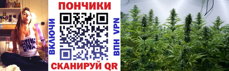 даркнет сайт MEGA зеркало Бошки марихуана White Widow Торжок